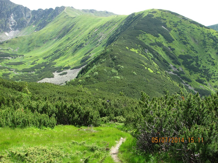 img00025.jpg