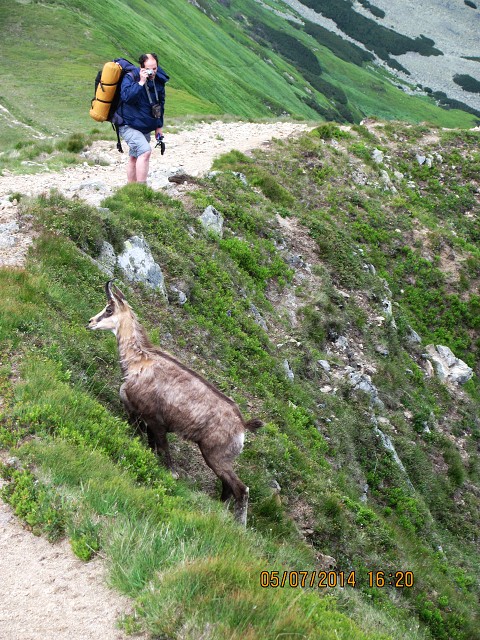 img00029.jpg