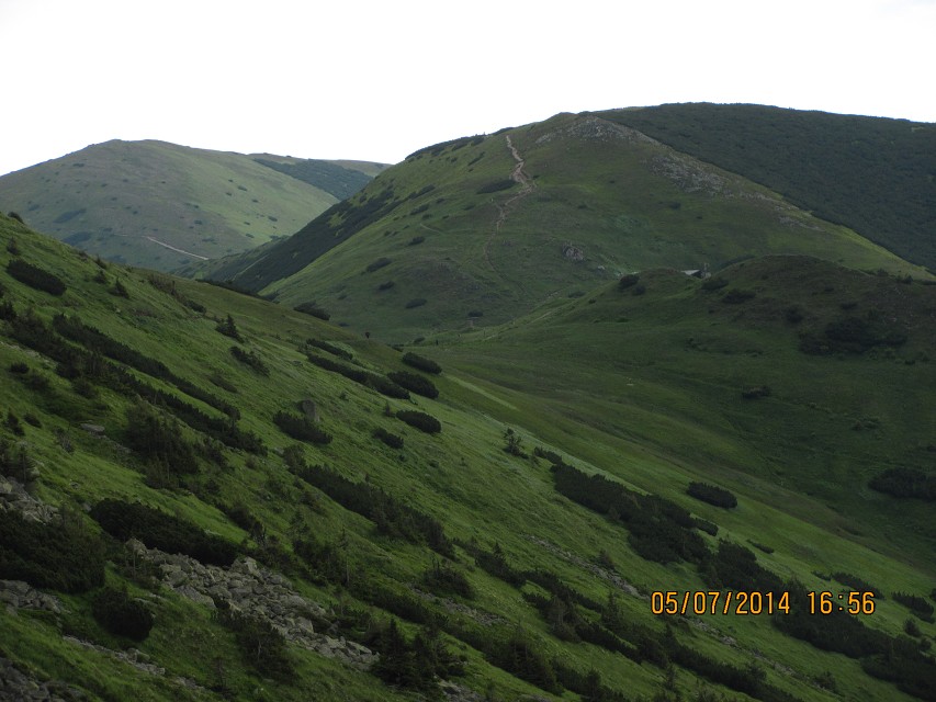 img00032.jpg
