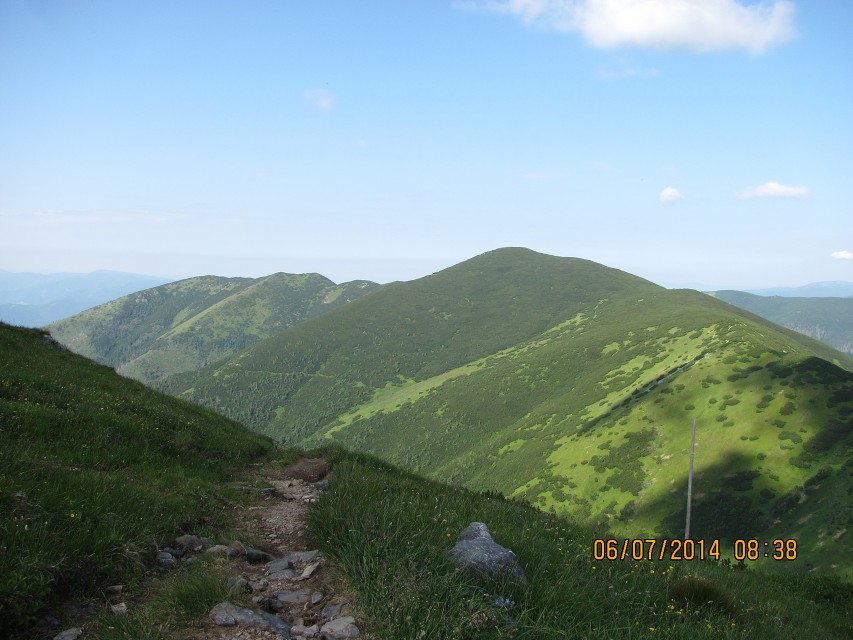 img00040.jpg
