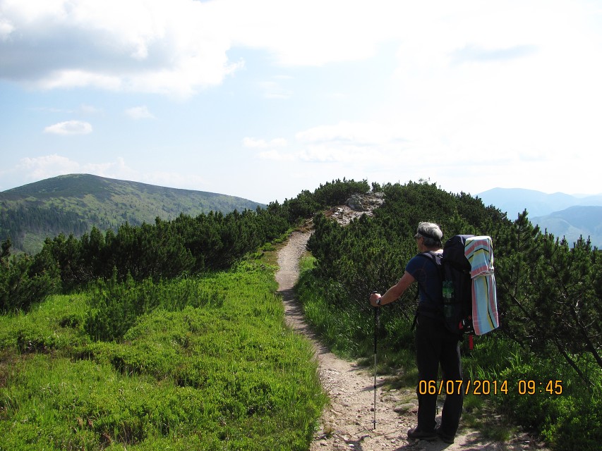 img00046.jpg