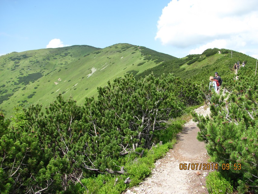 img00047.jpg