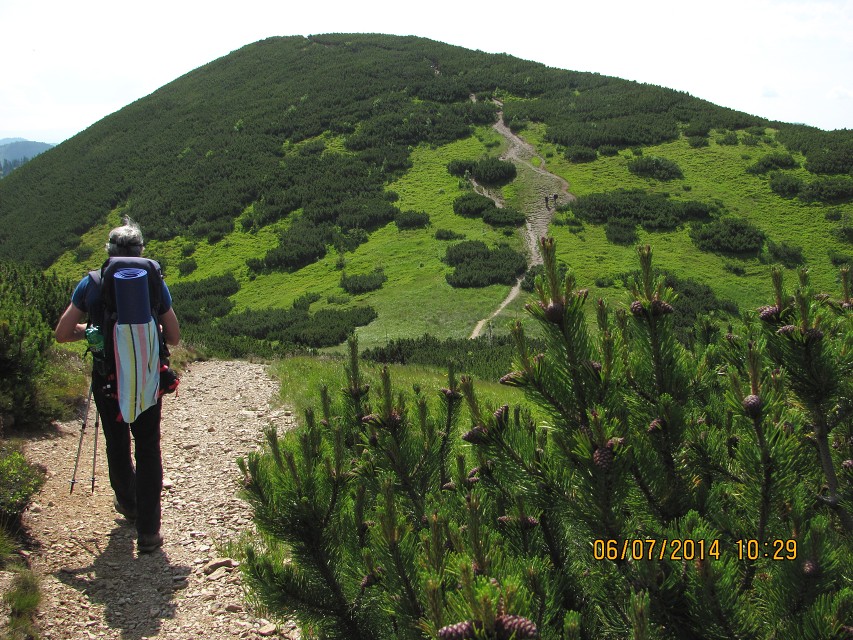 img00050.jpg