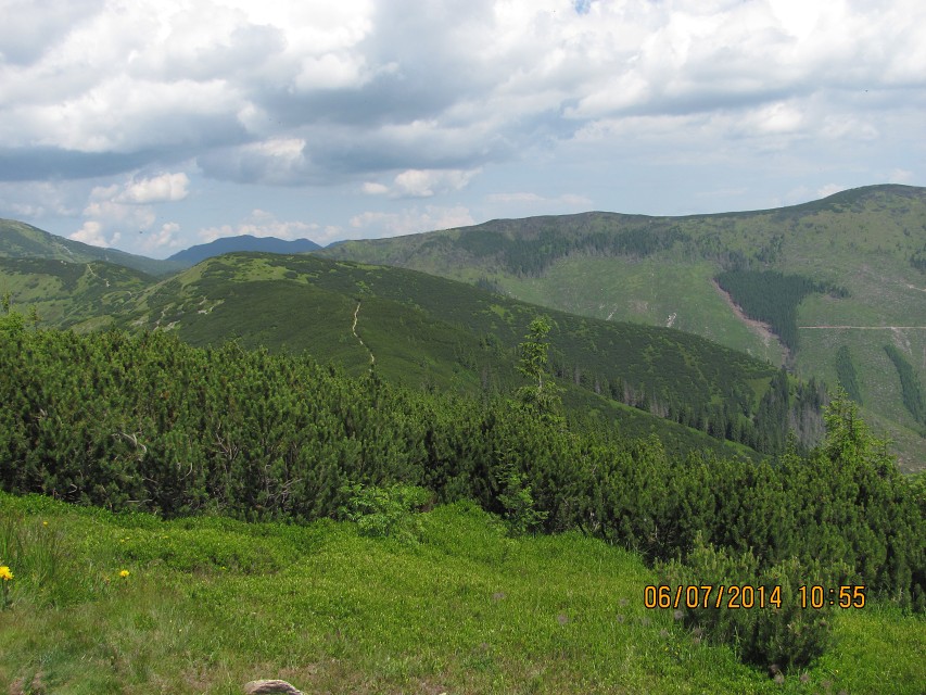 img00053.jpg
