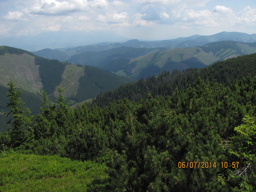 img00054.jpg