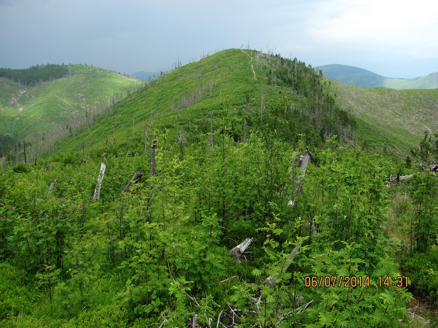 img00065.jpg