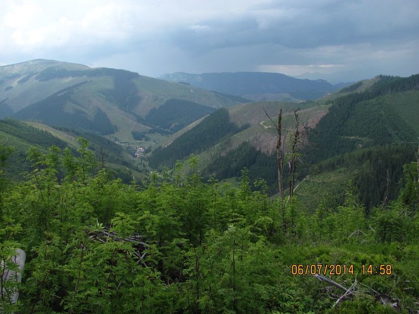 img00069.jpg