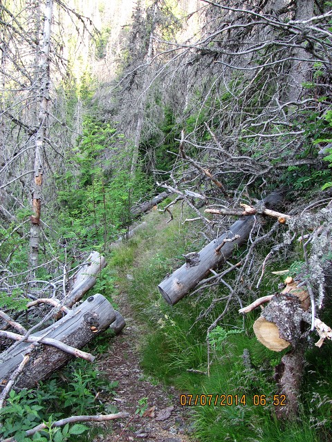 img00081.jpg