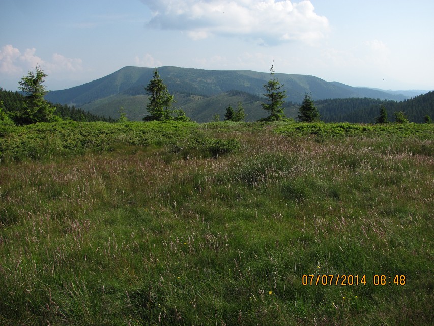 img00087.jpg