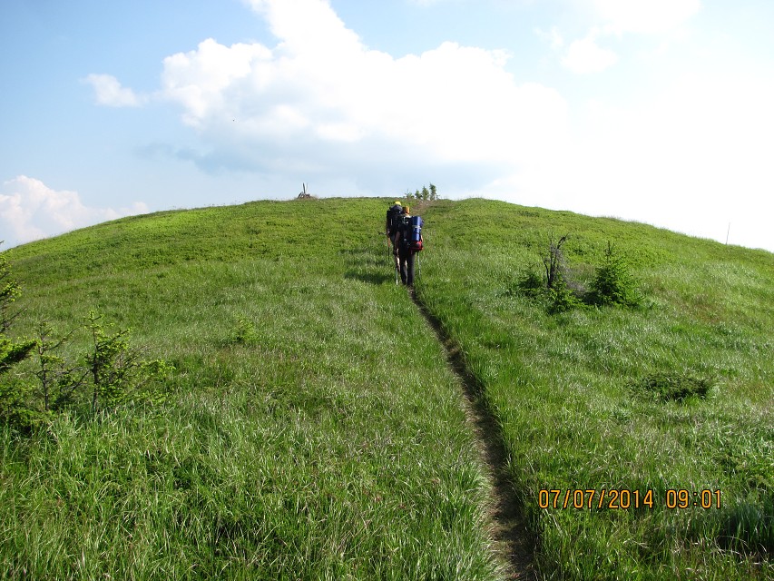 img00089.jpg