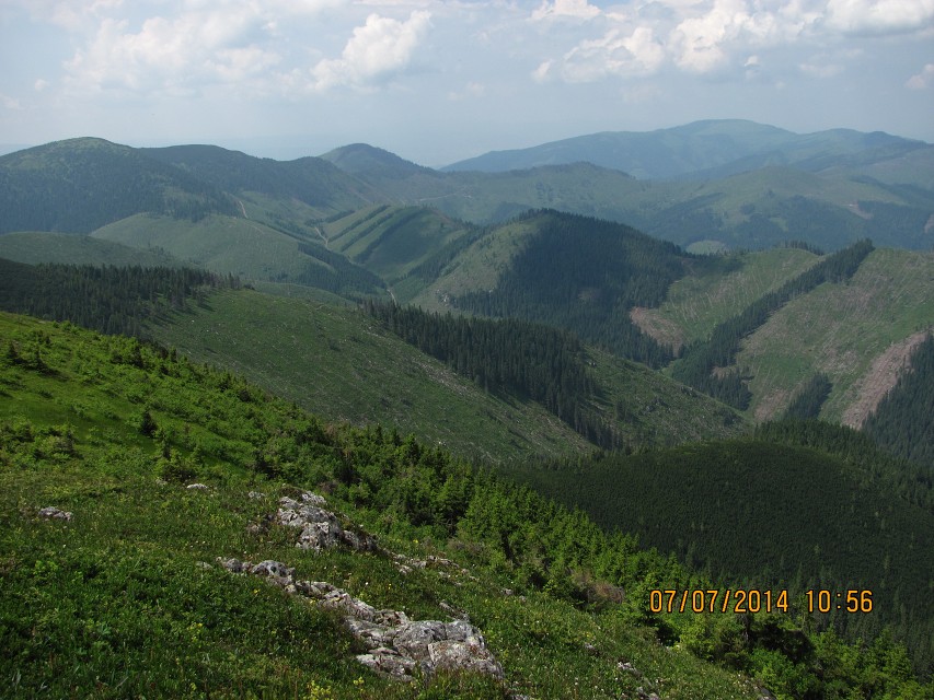 img00096.jpg