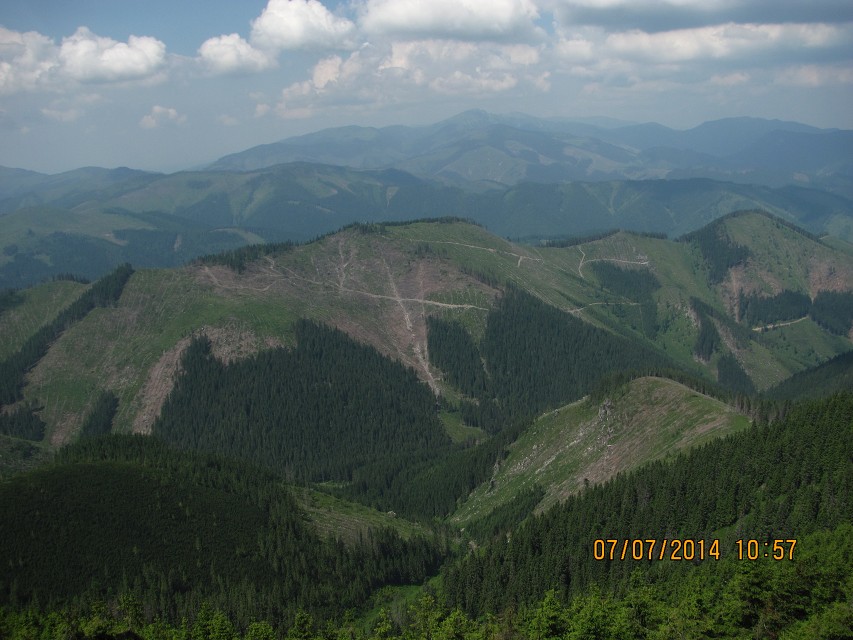 img00097.jpg