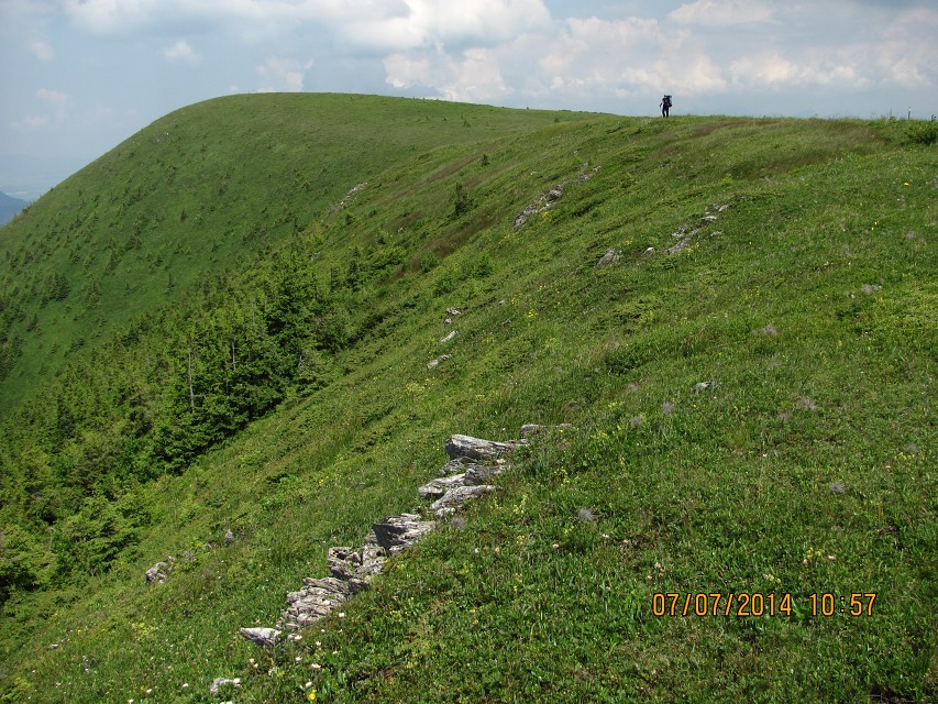 img00098.jpg