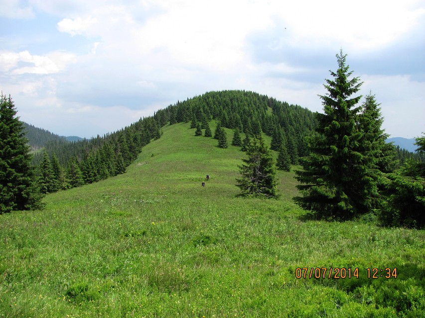img00100.jpg