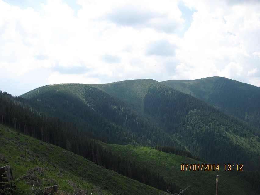 img00104.jpg