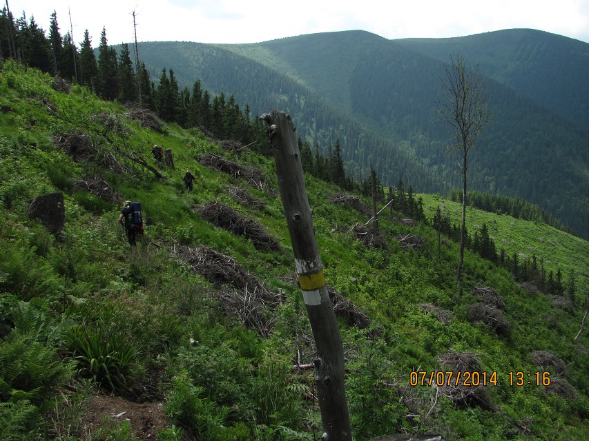 img00105.jpg