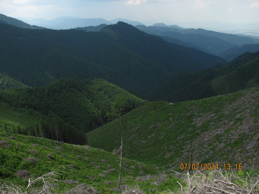 img00106.jpg