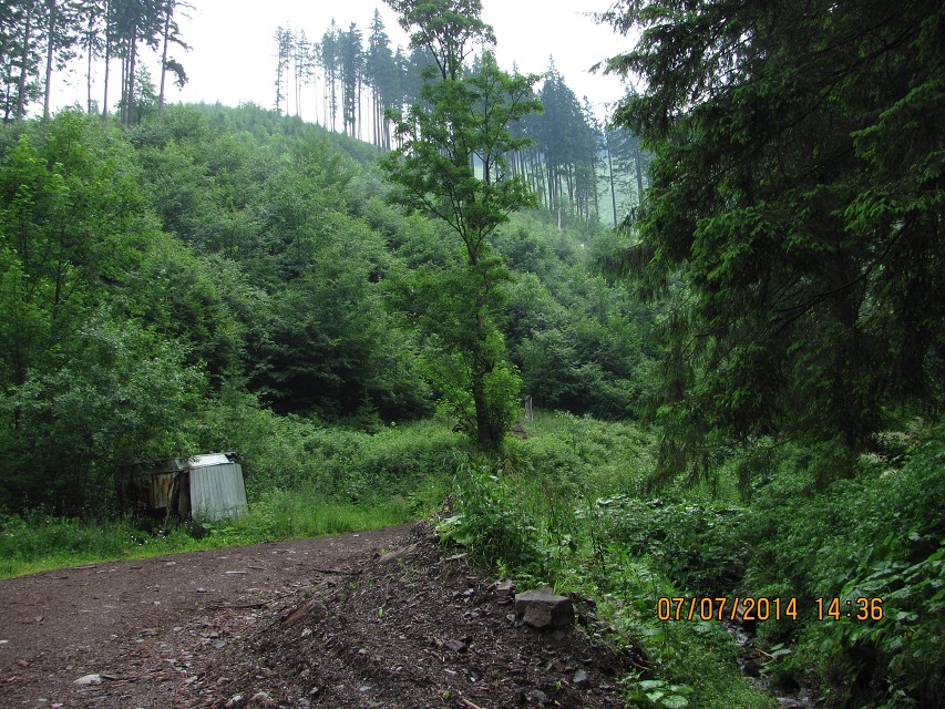 img00108.jpg