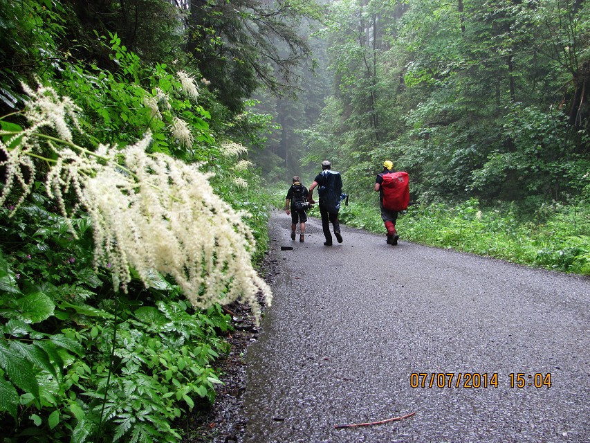 img00109.jpg