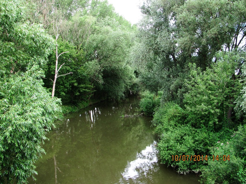img00012.jpg