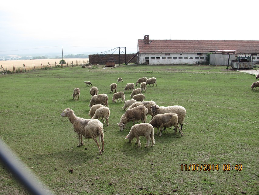 img00031.jpg
