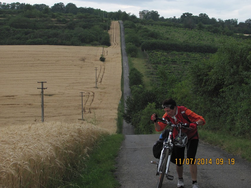 img00038.jpg