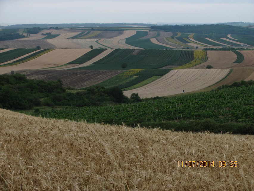 img00039.jpg