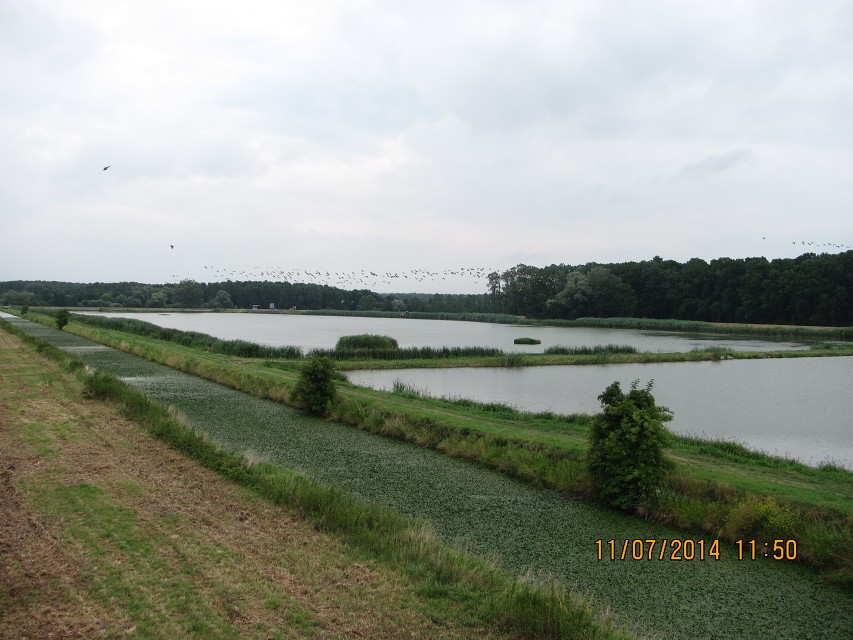 img00047.jpg