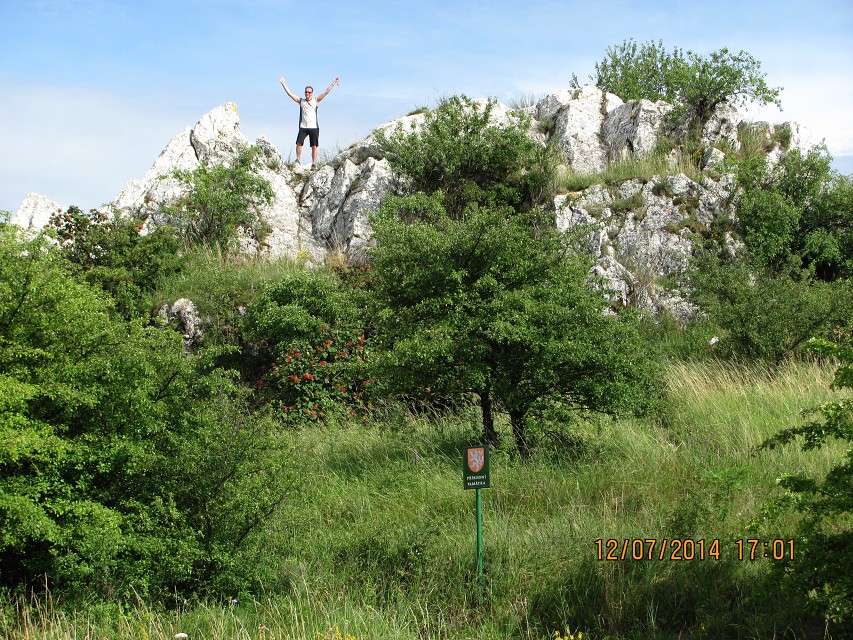 img00102.jpg