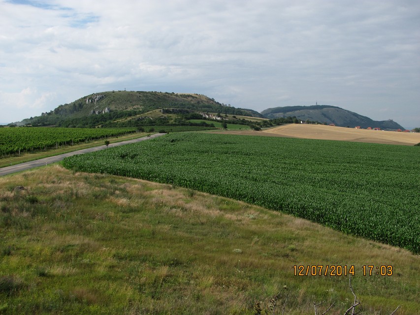 img00103.jpg