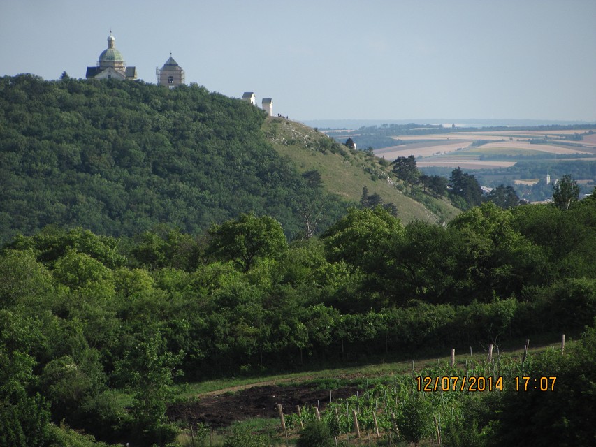 img00104.jpg