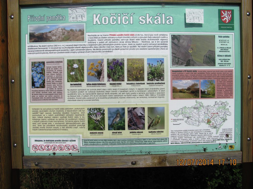 img00105.jpg