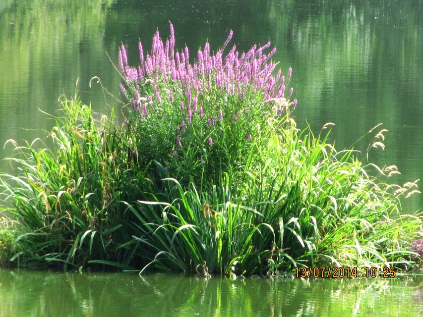 img00128.jpg
