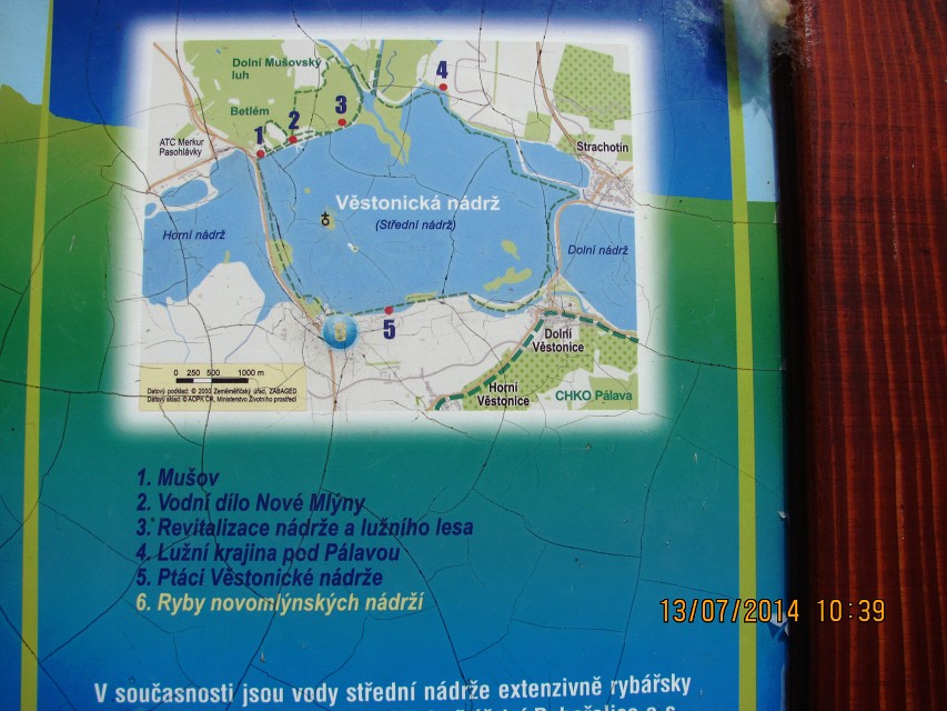 img00129.jpg