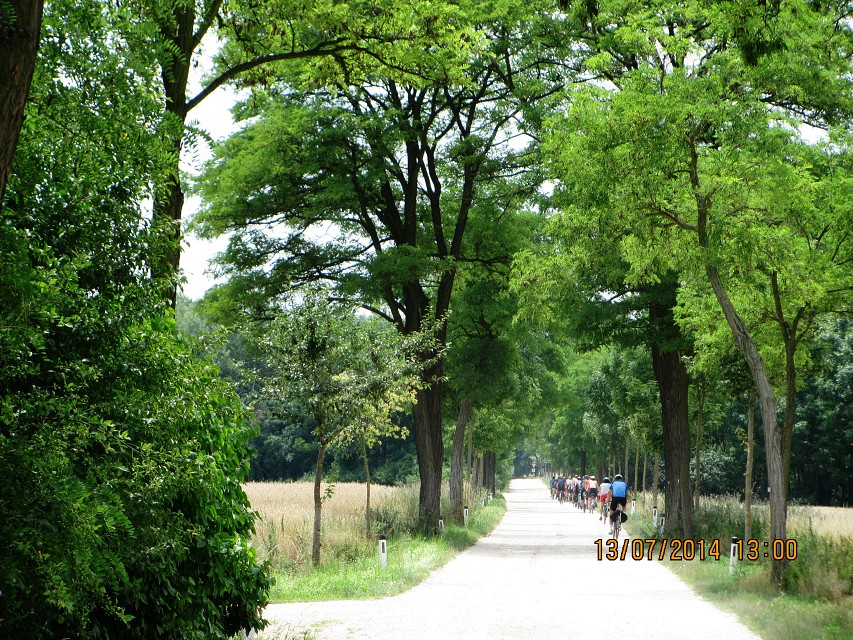 img00137.jpg