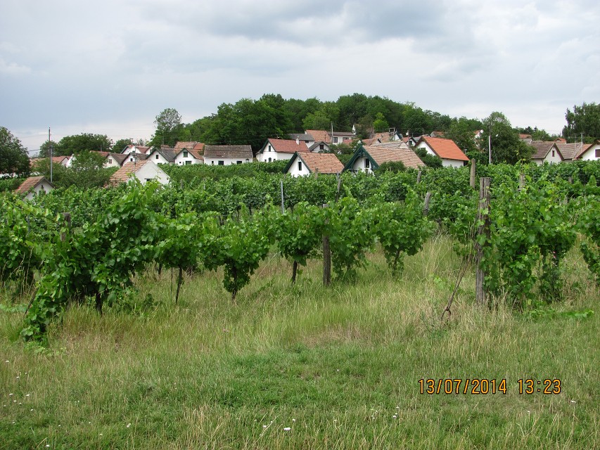 img00141.jpg