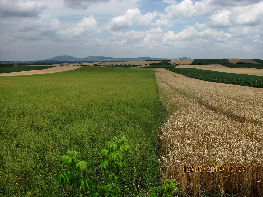 img00142.jpg