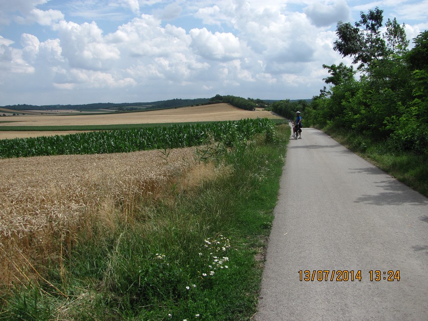 img00143.jpg