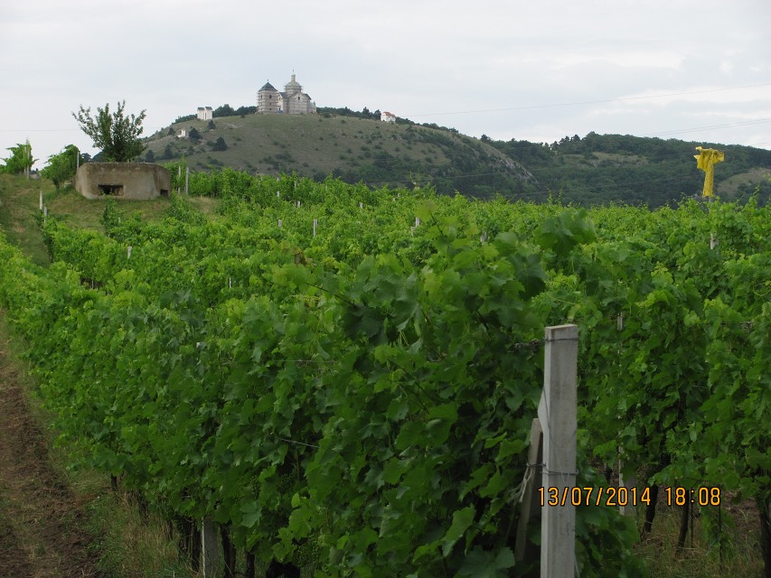 img00155.jpg