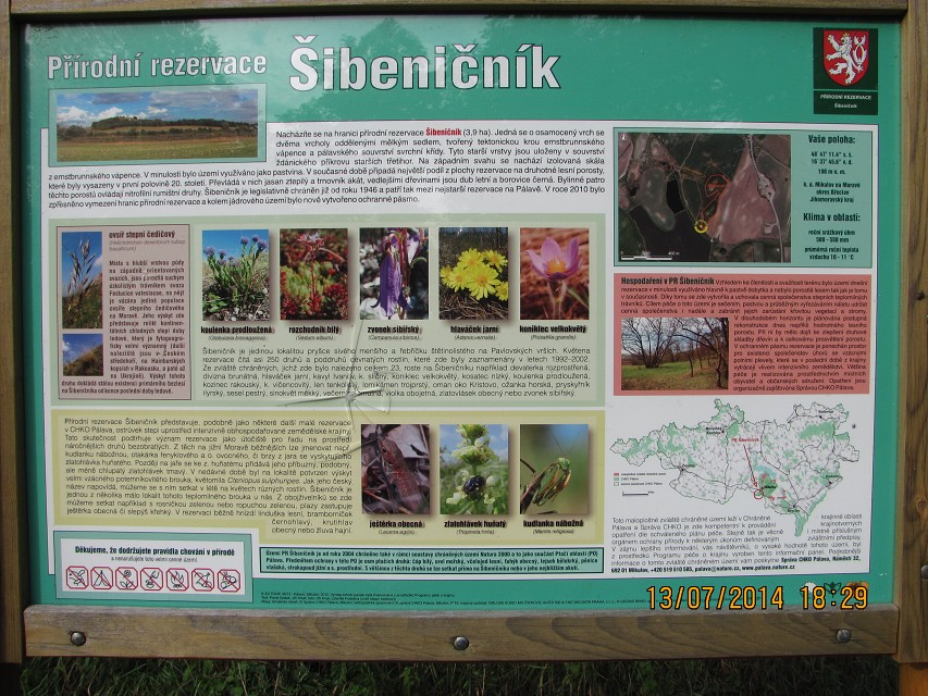 img00156.jpg