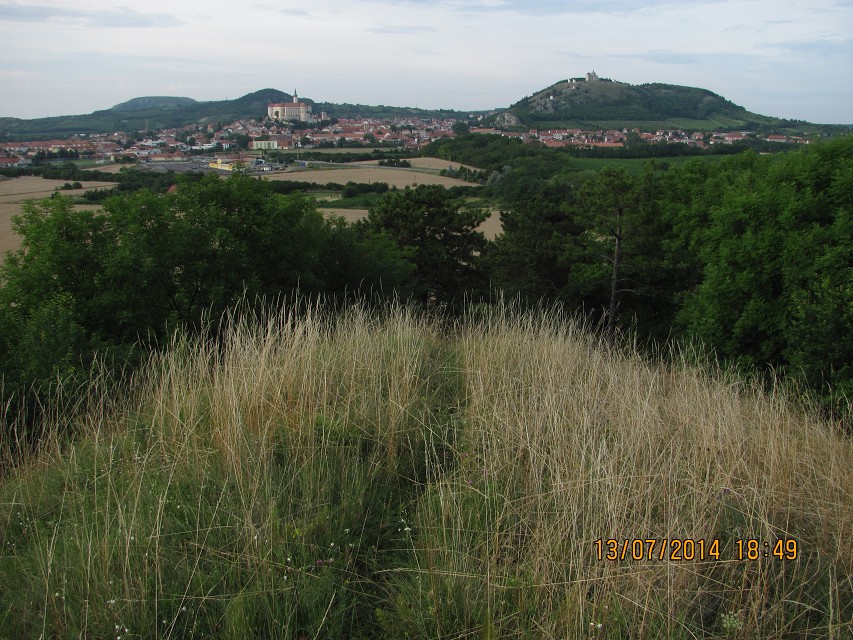 img00158.jpg