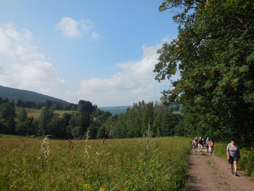 img00019.jpg