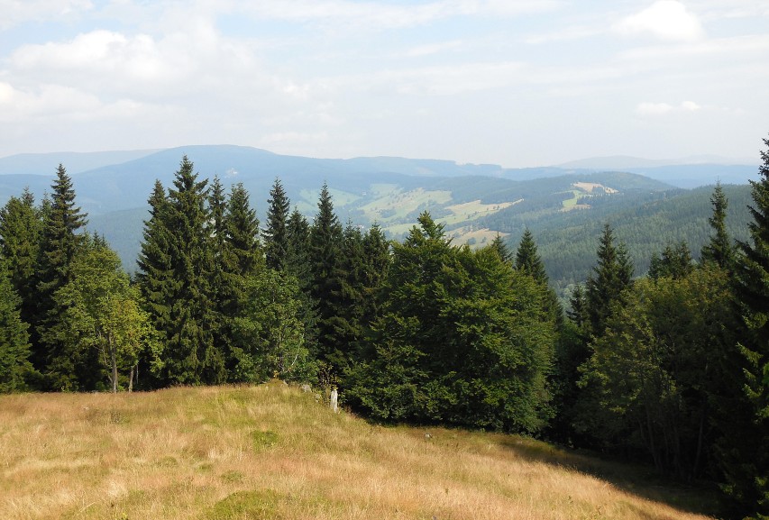 img00023.jpg