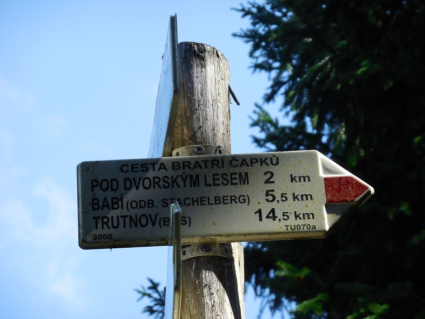 img00029.jpg