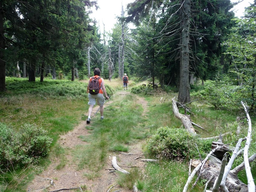 img00030.jpg