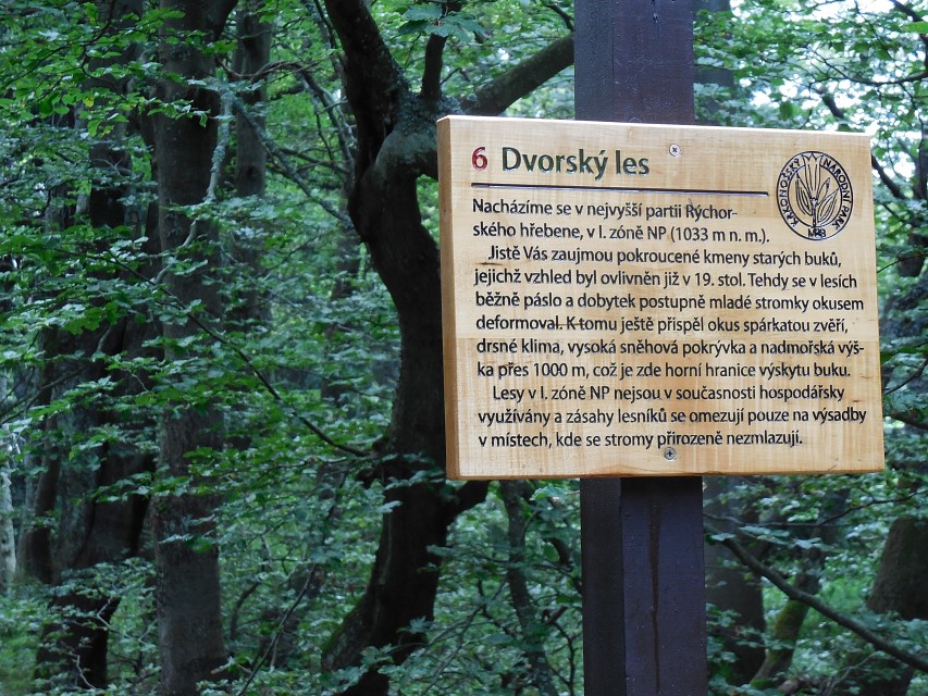 img00032.jpg