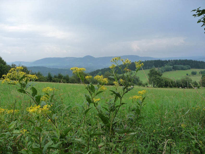 img00035.jpg