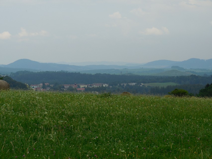 img00036.jpg