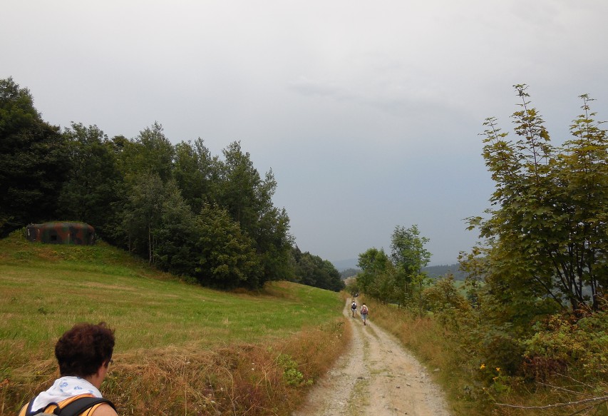 img00037.jpg