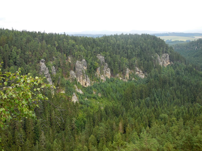 img00062.jpg